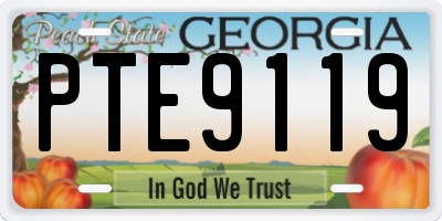GA license plate PTE9119