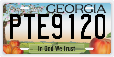 GA license plate PTE9120