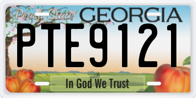 GA license plate PTE9121