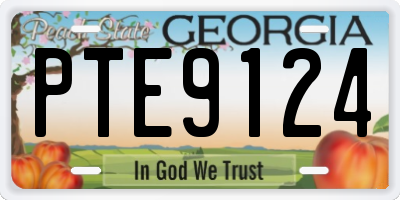 GA license plate PTE9124