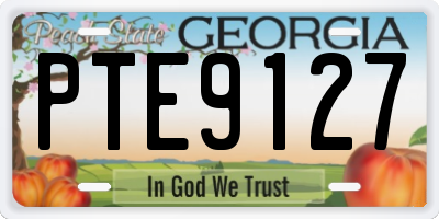 GA license plate PTE9127