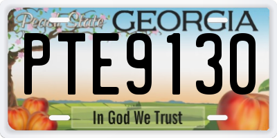 GA license plate PTE9130