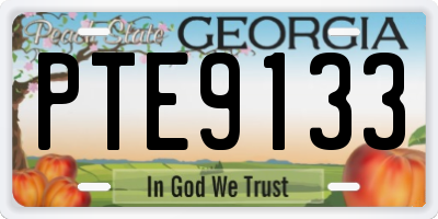 GA license plate PTE9133
