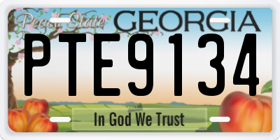 GA license plate PTE9134