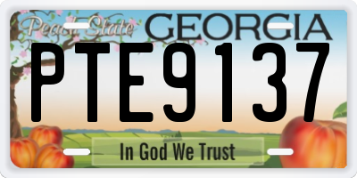 GA license plate PTE9137