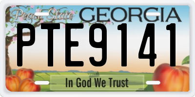 GA license plate PTE9141