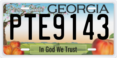 GA license plate PTE9143