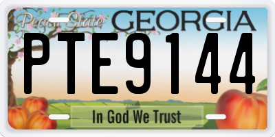 GA license plate PTE9144