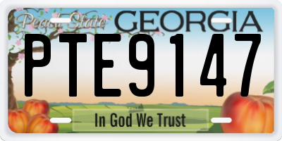 GA license plate PTE9147