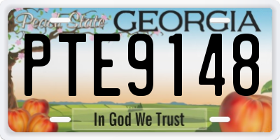 GA license plate PTE9148