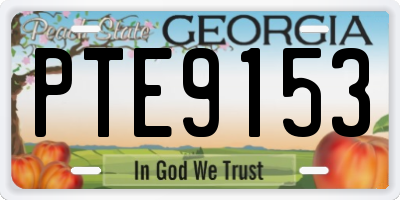 GA license plate PTE9153