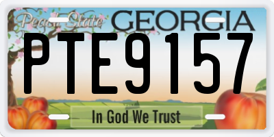 GA license plate PTE9157