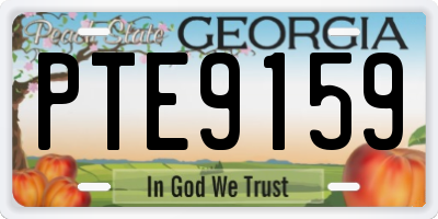 GA license plate PTE9159