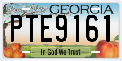 GA license plate PTE9161