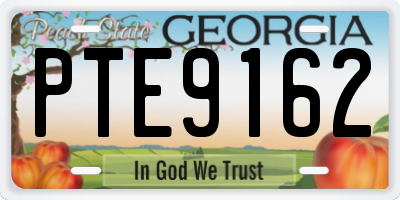 GA license plate PTE9162