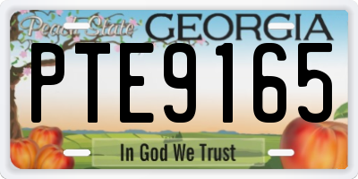 GA license plate PTE9165