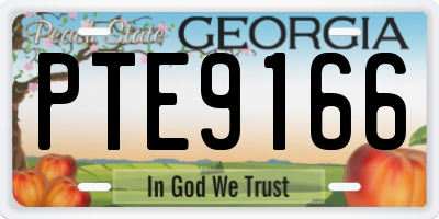 GA license plate PTE9166