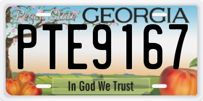 GA license plate PTE9167