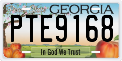 GA license plate PTE9168