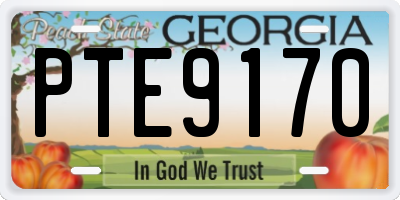 GA license plate PTE9170