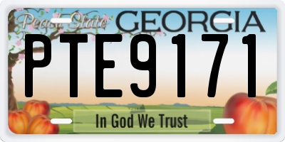 GA license plate PTE9171