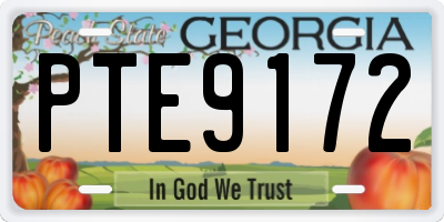 GA license plate PTE9172