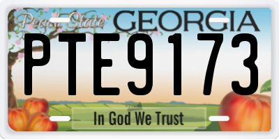 GA license plate PTE9173