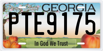 GA license plate PTE9175
