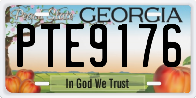 GA license plate PTE9176