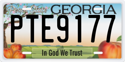 GA license plate PTE9177