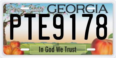 GA license plate PTE9178
