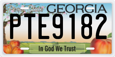 GA license plate PTE9182