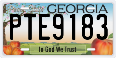 GA license plate PTE9183