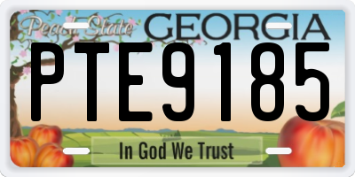 GA license plate PTE9185