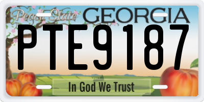 GA license plate PTE9187