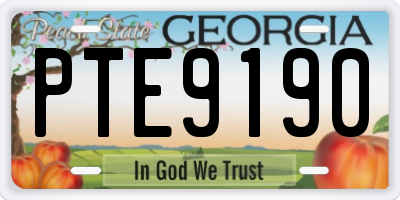 GA license plate PTE9190