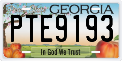 GA license plate PTE9193