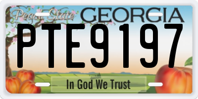 GA license plate PTE9197