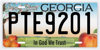 GA license plate PTE9201
