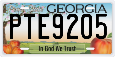 GA license plate PTE9205