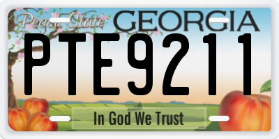 GA license plate PTE9211