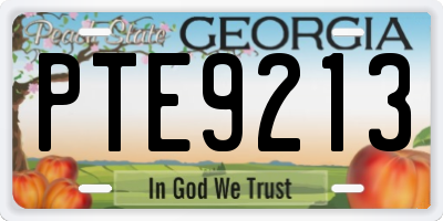 GA license plate PTE9213