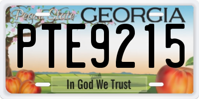 GA license plate PTE9215