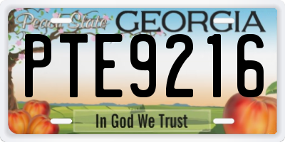 GA license plate PTE9216