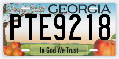 GA license plate PTE9218