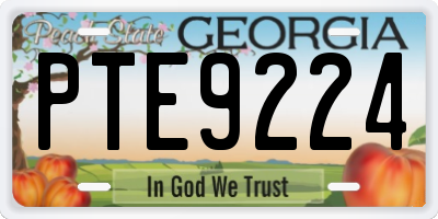 GA license plate PTE9224