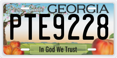 GA license plate PTE9228