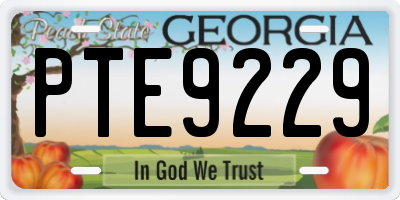 GA license plate PTE9229