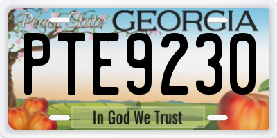 GA license plate PTE9230
