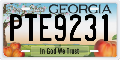 GA license plate PTE9231